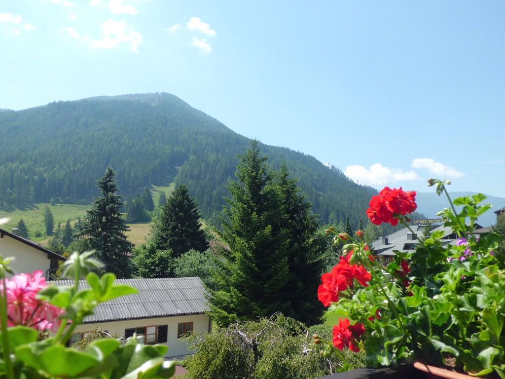 Haus Susanne Apartment Bad Kleinkirchheim Ruang foto